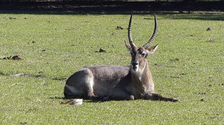 Filename=P1120010.JPG
Filesize=4190KiB
Dimensions=4000x2248
Date added=Feb 03, 2022 P1120010.JPG