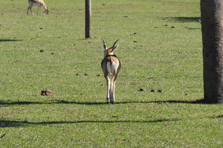 Filename=P1120012.JPG
Filesize=4224KiB
Dimensions=4000x2672
Date added=Feb 03, 2022 P1120012.JPG