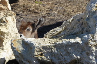 Filename=P1120014.JPG
Filesize=4148KiB
Dimensions=4000x2672
Date added=Feb 03, 2022 P1120014.JPG