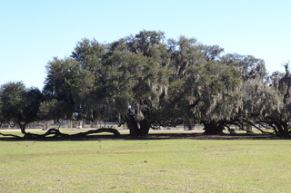 Filename=P1120017.JPG
Filesize=4281KiB
Dimensions=4000x2672
Date added=Feb 03, 2022 P1120017.JPG