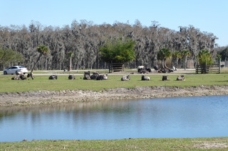 Filename=P1120018.JPG
Filesize=4291KiB
Dimensions=4000x2672
Date added=Feb 03, 2022 P1120018.JPG