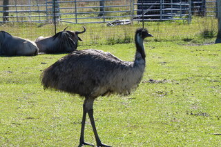 Filename=P1120021.JPG
Filesize=4597KiB
Dimensions=4000x2672
Date added=Feb 03, 2022 P1120021.JPG