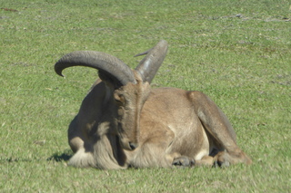 Filename=P1120023.JPG
Filesize=4574KiB
Dimensions=4000x2672
Date added=Feb 03, 2022 P1120023.JPG