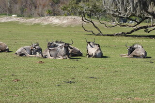 Filename=P1120024.JPG
Filesize=4513KiB
Dimensions=4000x2672
Date added=Feb 03, 2022 P1120024.JPG