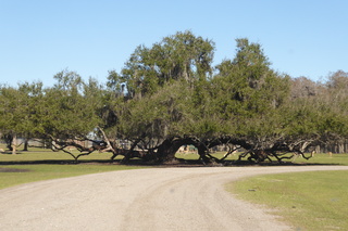 Filename=P1120025.JPG
Filesize=4499KiB
Dimensions=4000x2672
Date added=Feb 03, 2022 P1120025.JPG