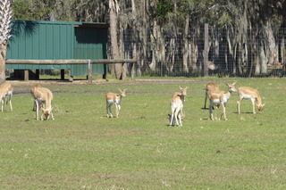 Filename=P1120026.JPG
Filesize=4352KiB
Dimensions=4000x2672
Date added=Feb 03, 2022 P1120026.JPG