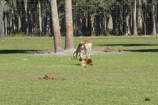 Filename=P1120027.JPG
Filesize=4301KiB
Dimensions=4000x2672
Date added=Feb 03, 2022 P1120027.JPG