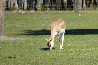 Filename=P1120028.JPG
Filesize=4155KiB
Dimensions=4000x2672
Date added=Feb 03, 2022 P1120028.JPG