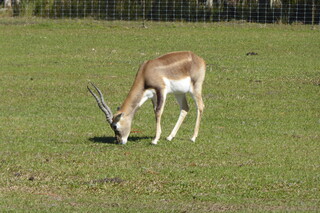 Filename=P1120029.JPG
Filesize=4325KiB
Dimensions=4000x2672
Date added=Feb 03, 2022 P1120029.JPG