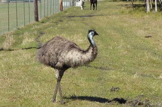 Filename=P1120030.JPG
Filesize=4284KiB
Dimensions=4000x2672
Date added=Feb 03, 2022 P1120030.JPG