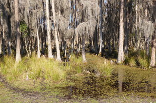 Filename=P1120031.JPG
Filesize=4432KiB
Dimensions=4000x2672
Date added=Feb 03, 2022 P1120031.JPG