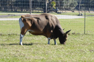 Filename=P1120035.JPG
Filesize=4389KiB
Dimensions=4000x2672
Date added=Feb 03, 2022 P1120035.JPG