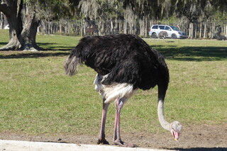 Filename=P1120036.JPG
Filesize=4476KiB
Dimensions=4000x2672
Date added=Feb 03, 2022 P1120036.JPG