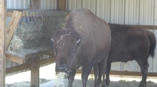 Filename=P1120039.JPG
Filesize=3592KiB
Dimensions=4000x2248
Date added=Feb 03, 2022 P1120039.JPG