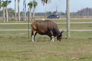 Filename=P1120043.JPG
Filesize=4102KiB
Dimensions=4000x2672
Date added=Feb 03, 2022 P1120043.JPG