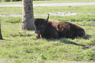 Filename=P1120044.JPG
Filesize=4482KiB
Dimensions=4000x2672
Date added=Feb 03, 2022 P1120044.JPG