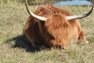 Filename=P1120048.JPG
Filesize=4386KiB
Dimensions=4000x2672
Date added=Feb 03, 2022 P1120048.JPG