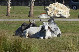 Filename=P1120049.JPG
Filesize=4206KiB
Dimensions=4000x2672
Date added=Feb 03, 2022 P1120049.JPG