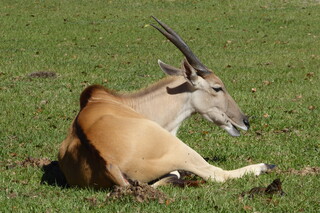 Filename=P1120052.JPG
Filesize=4361KiB
Dimensions=4000x2672
Date added=Feb 03, 2022 P1120052.JPG