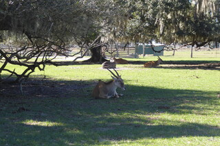 Filename=P1120058.JPG
Filesize=4358KiB
Dimensions=4000x2672
Date added=Feb 03, 2022 P1120058.JPG