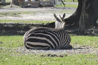 Filename=P1120060.JPG
Filesize=4831KiB
Dimensions=4000x2672
Date added=Feb 03, 2022 P1120060.JPG