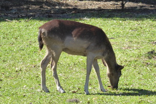 Filename=P1120061.JPG
Filesize=4509KiB
Dimensions=4000x2672
Date added=Feb 03, 2022 P1120061.JPG