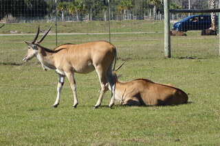 Filename=P1120063.JPG
Filesize=4265KiB
Dimensions=4000x2672
Date added=Feb 03, 2022 P1120063.JPG