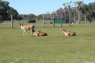 Filename=P1120064.JPG
Filesize=4249KiB
Dimensions=4000x2672
Date added=Feb 03, 2022 P1120064.JPG