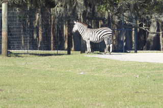 Filename=P1120065.JPG
Filesize=4572KiB
Dimensions=4000x2672
Date added=Feb 03, 2022 P1120065.JPG