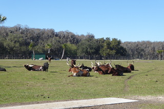 Filename=P1120069.JPG
Filesize=4549KiB
Dimensions=4000x2672
Date added=Feb 03, 2022 P1120069.JPG