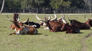 Filename=P1120072.JPG
Filesize=4179KiB
Dimensions=4000x2248
Date added=Feb 03, 2022 P1120072.JPG