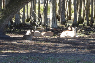 Filename=P1120080.JPG
Filesize=4261KiB
Dimensions=4000x2672
Date added=Feb 03, 2022 P1120080.JPG