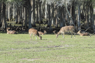 Filename=P1120086.JPG
Filesize=4604KiB
Dimensions=4000x2672
Date added=Feb 03, 2022 P1120086.JPG