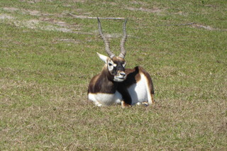 Filename=P1120087.JPG
Filesize=4417KiB
Dimensions=4000x2672
Date added=Feb 03, 2022 P1120087.JPG