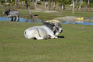 Filename=P1120099.JPG
Filesize=4302KiB
Dimensions=4000x2672
Date added=Feb 03, 2022 P1120099.JPG