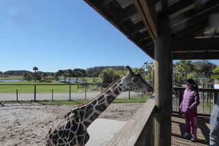 Filename=P1120103.JPG
Filesize=4615KiB
Dimensions=4000x2672
Date added=Feb 03, 2022 P1120103.JPG