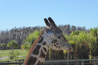 Filename=P1120104.JPG
Filesize=4444KiB
Dimensions=4000x2672
Date added=Feb 03, 2022 P1120104.JPG