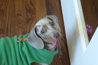 Filename=P1120296.JPG
Filesize=4260KiB
Dimensions=4000x2672
Date added=Feb 03, 2022 P1120296.JPG