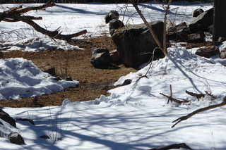 Filename=P1120301.JPG
Filesize=4571KiB
Dimensions=4000x2672
Date added=Feb 20, 2022 P1120301.JPG