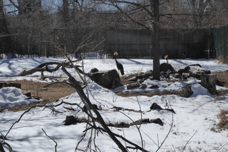 Filename=P1120302.JPG
Filesize=4733KiB
Dimensions=4000x2672
Date added=Feb 20, 2022 P1120302.JPG