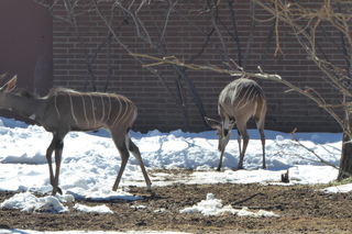 Filename=P1120305.JPG
Filesize=4402KiB
Dimensions=4000x2672
Date added=Feb 20, 2022 P1120305.JPG