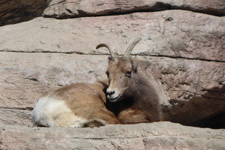 Filename=P1120307.JPG
Filesize=4184KiB
Dimensions=4000x2672
Date added=Feb 20, 2022 P1120307.JPG