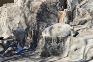 Filename=P1120308.JPG
Filesize=4354KiB
Dimensions=4000x2672
Date added=Feb 20, 2022 P1120308.JPG