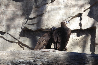 Filename=P1120312.JPG
Filesize=4543KiB
Dimensions=4000x2672
Date added=Feb 20, 2022 P1120312.JPG