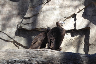 Filename=P1120313.JPG
Filesize=4455KiB
Dimensions=4000x2672
Date added=Feb 20, 2022 P1120313.JPG