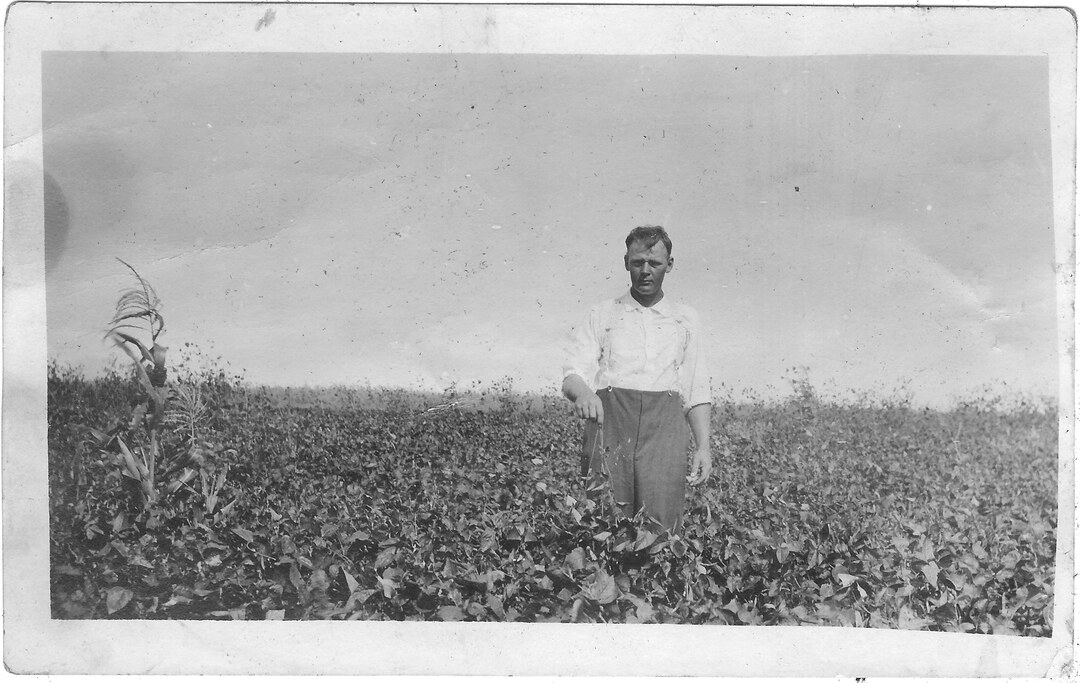 Photograph (92)
1909, Kansas.  Webster in a field.
